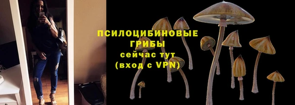 круглые Армянск