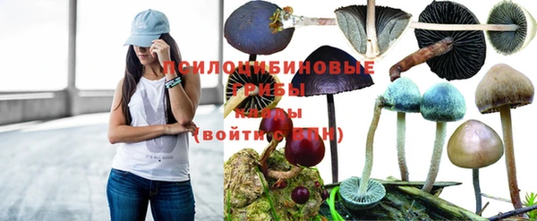 мет Арсеньев