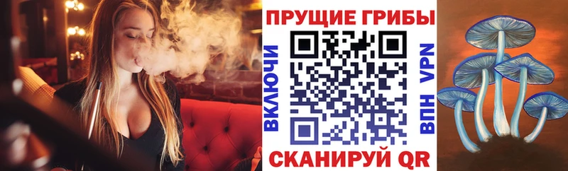 Галлюциногенные грибы MAGIC MUSHROOMS  где продают наркотики  Любань 